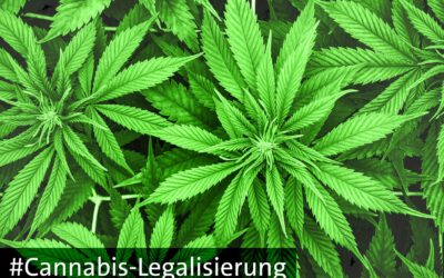 Vorbereitung auf die Cannabis-Legalisierung