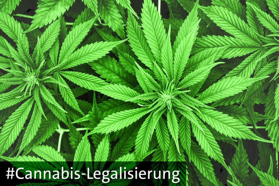 Vorbereitung Auf Die Cannabis-Legalisierung | Parsa Marvi MdB